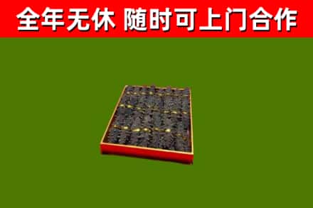 平山回收海参